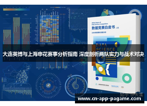大连英博与上海申花赛事分析指南 深度剖析两队实力与战术对决