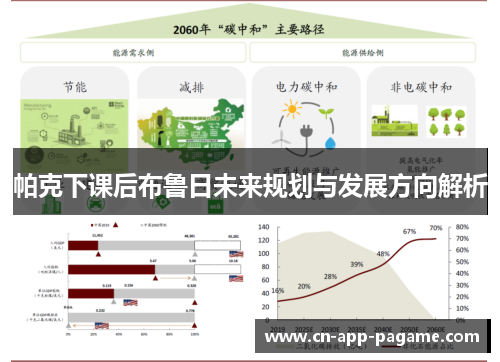 帕克下课后布鲁日未来规划与发展方向解析