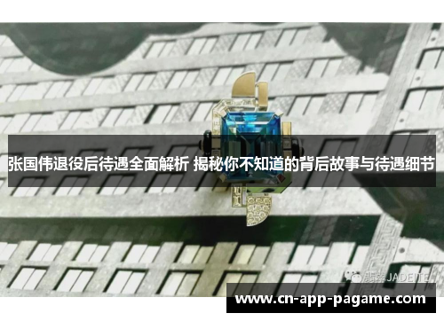 张国伟退役后待遇全面解析 揭秘你不知道的背后故事与待遇细节