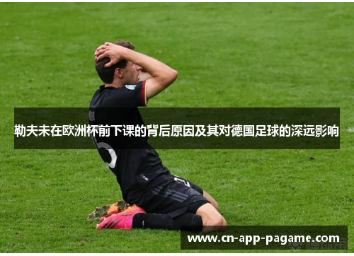 勒夫未在欧洲杯前下课的背后原因及其对德国足球的深远影响