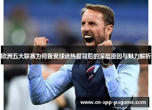 欧洲五大联赛为何备受球迷热爱背后的深层原因与魅力解析