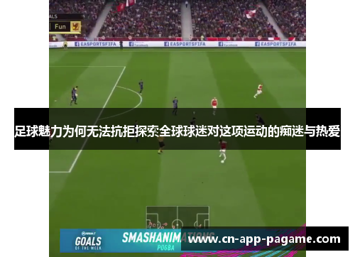 足球魅力为何无法抗拒探索全球球迷对这项运动的痴迷与热爱