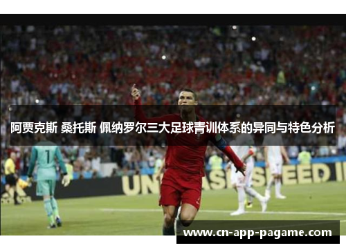 阿贾克斯 桑托斯 佩纳罗尔三大足球青训体系的异同与特色分析