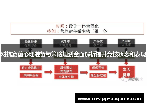 对抗赛前心理准备与策略规划全面解析提升竞技状态和表现