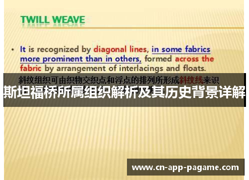 斯坦福桥所属组织解析及其历史背景详解