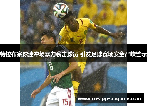 特拉布宗球迷冲场暴力袭击球员 引发足球赛场安全严峻警示 特拉布宗球迷冲场暴力袭击球员 引发足球赛场安全严峻警示